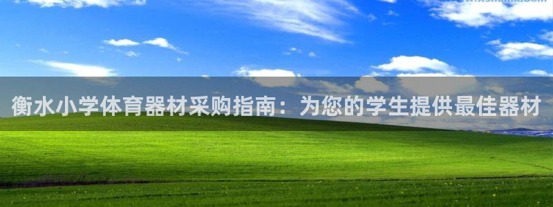 极悦平台注册太7.0.2.4好用吗：衡水小学体育器材