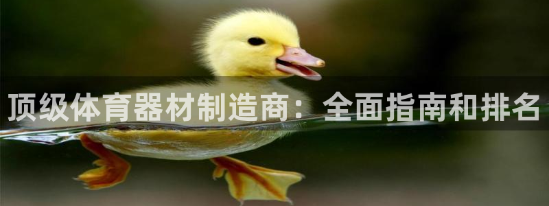 极悦平台登录方式：顶级体育器材制造商：全面指南和排名