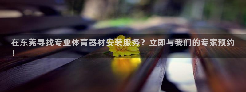 无锡极悦科技有限公司：在东莞寻找专业体育器材安装服务