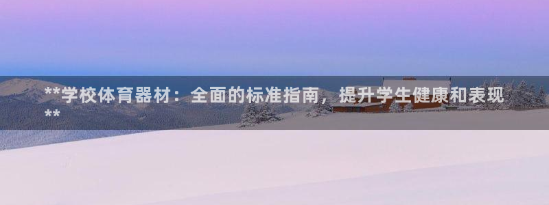 极悦平台是干嘛的公司：**学校体育器材：全面的标准指