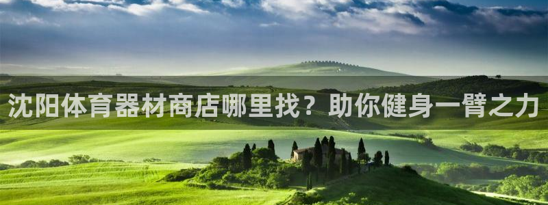 极悦平台代理怎么样可靠吗：沈阳体育器材商店哪里找？助