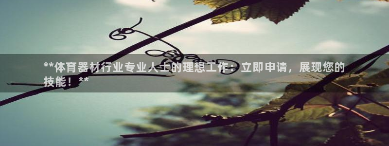 极悦娱乐股东名单：**体育器材行业专业人士的理想工作