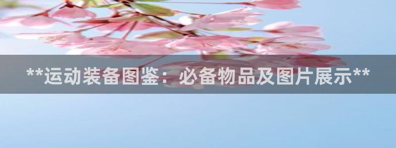 极悦生活家是什么平台的产品：**运动装备图鉴：必备物