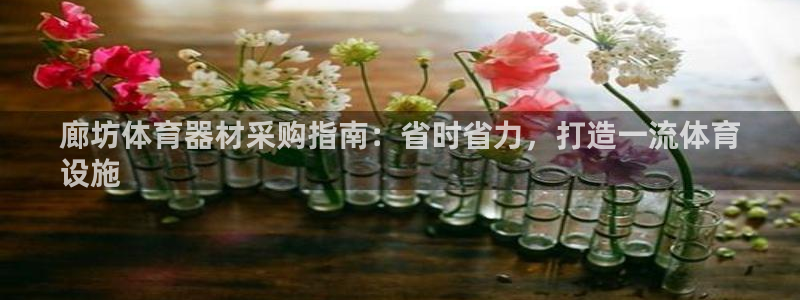 极悦平台app二维码怎么弄的：廊坊体育器材采购指南：