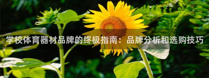 极悦平台客服投诉电话是多少：学校体育器材品牌的终极指