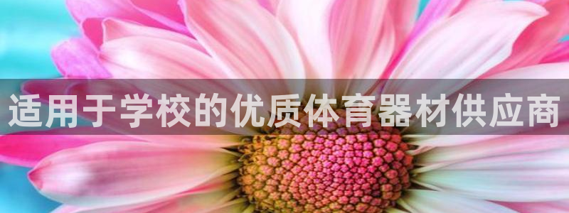 极悦平台注册官方网站下载安卓手机：适用于学校的优质体
