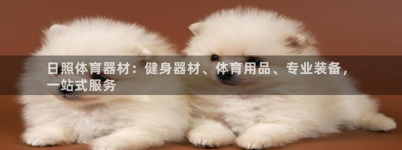 极悦平台用户评价与反馈怎么设置：日照体育器材：健身器