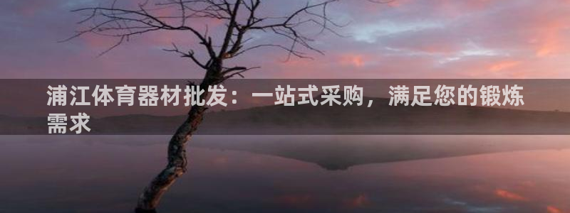 极悦娱乐股东有哪些：浦江体育器材批发：一站式采购，满