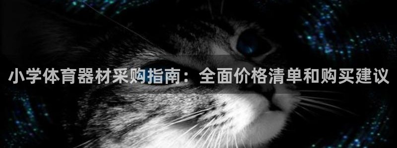 极悦官网登录入口网址：小学体育器材采购指南：全面价格