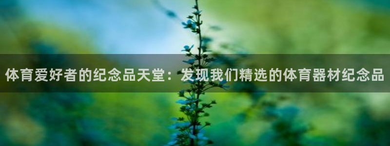 极悦平台官方网址查询：体育爱好者的纪念品天堂：发现我