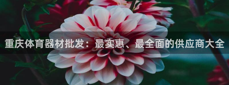 极悦官网首页：重庆体育器材批发：最实惠、最全面的供应