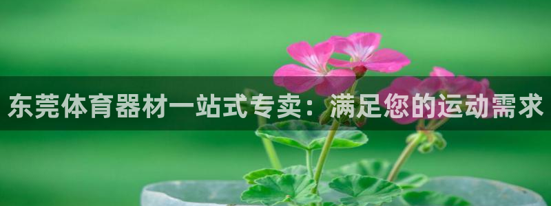 极悦平台安全吗：东莞体育器材一站式专卖：满足您的运动