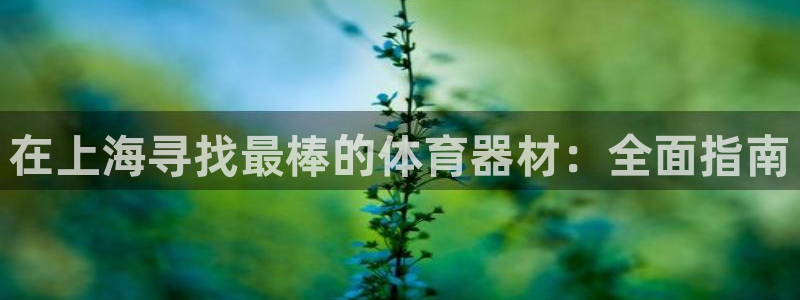 极悦平台注册资金多少钱：在上海寻找最棒的体育器材：全