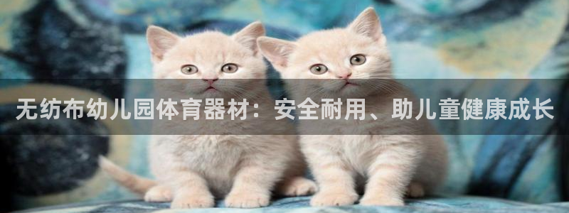 极悦平台好7.0.2.4怎么样：无纺布幼儿园体育器材