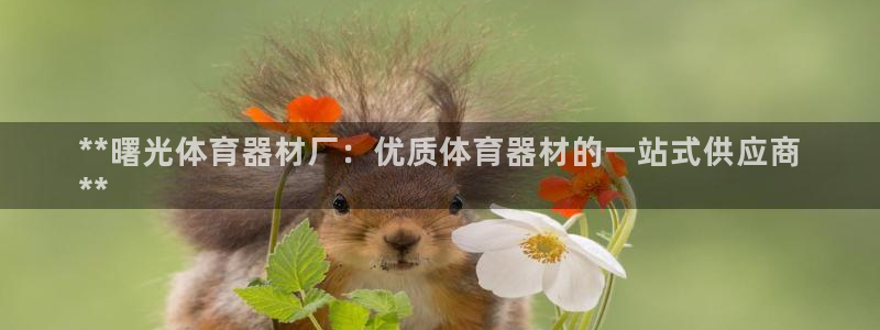极悦平台客服团队：**曙光体育器材厂：优质体育器材的