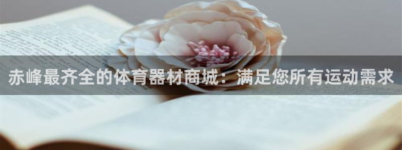 极悦娱乐的背景和历史背景是什么：赤峰最齐全的体育器材