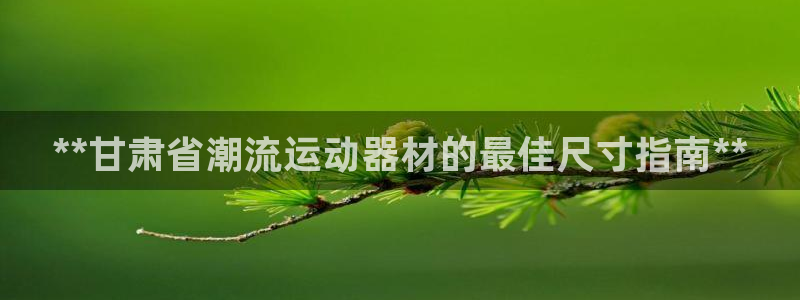 极悦娱乐官网入口下载：**甘肃省潮流运动器材的最佳尺