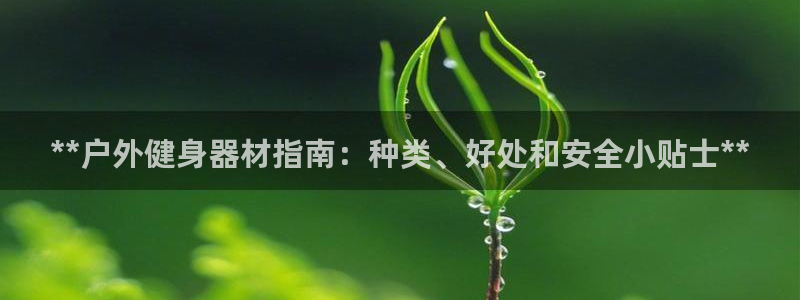 极悦娱乐的创始人背景故事介绍：**户外健身器材指南：