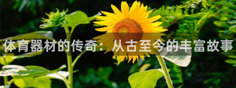 极悦官方网站app下载：体育器材的传奇：从古至今的丰