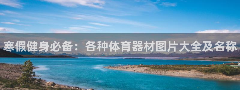 极悦平台安全吗可靠吗：寒假健身必备：各种体育器材图片