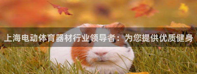 极悦平台官方网站入口：上海电动体育器材行业领导者：为
