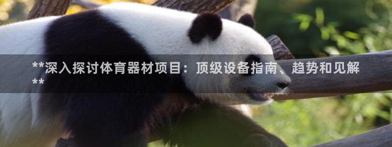 极悦平台注册官方网站下载安装：**深入探讨体育器材项