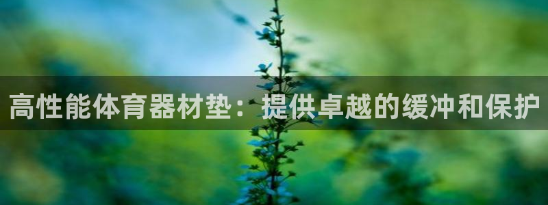 极悦平台注册登录失败：高性能体育器材垫：提供卓越的缓