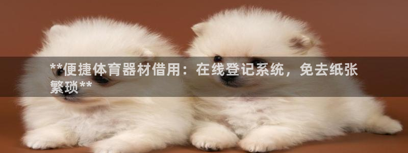 极悦平台官方网址是什么：**便捷体育器材借用：在线登