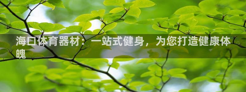 极悦平台客服的联系方式是多少：海口体育器材：一站式健