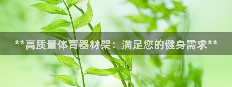 极悦平台注册流程详解图：**高质量体育器材架：满足您