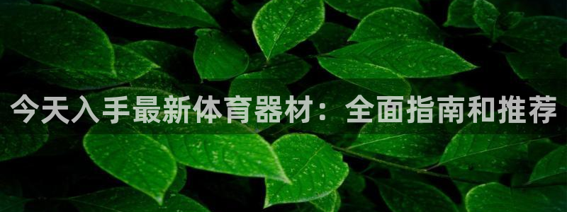 极悦娱乐代理多少钱一年：今天入手最新体育器材：全面指