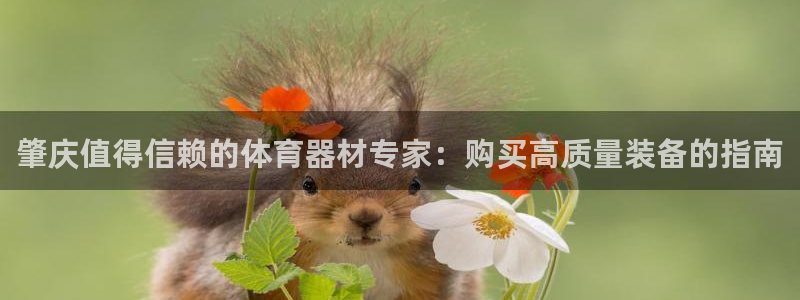 极悦平台注册官网网址：肇庆值得信赖的体育器材专家：购