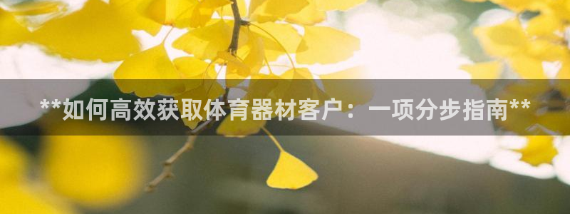 极悦娱乐app官方版本更新内容下载：**如何高效获取