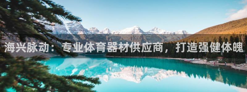 极悦平台平台注册方法与步骤图：海兴脉动：专业体育器材供应商，