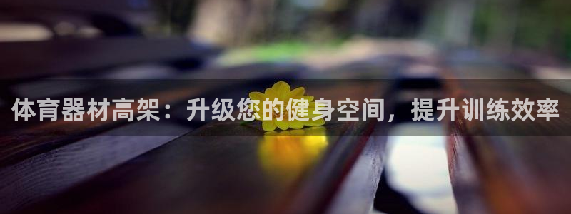 极悦平台官网入口网站：体育器材高架：升级您的健身空间
