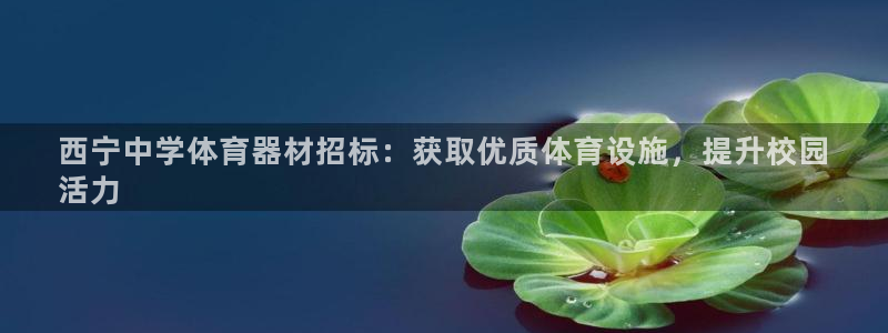 极悦平台官网登录不了怎么回事：西宁中学体育器材招标：