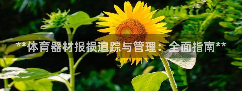 极悦平台登录入口注册不了：**体育器材报损追踪与管理