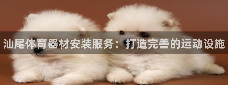 极悦平台决7O777：汕尾体育器材安装服务：打造完善