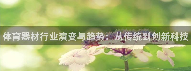 极悦平台客服团队怎么样：体育器材行业演变与趋势：从传