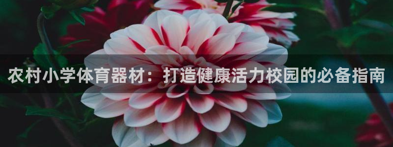 极悦平台官网登录入口网址是什么：农村小学体育器材：打