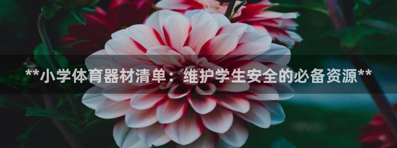 极悦娱乐app官方版本更新内容：**小学体育器材清单