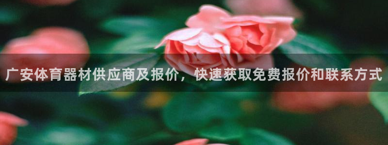 极悦娱乐官网客服联系方式：广安体育器材供应商及报价，