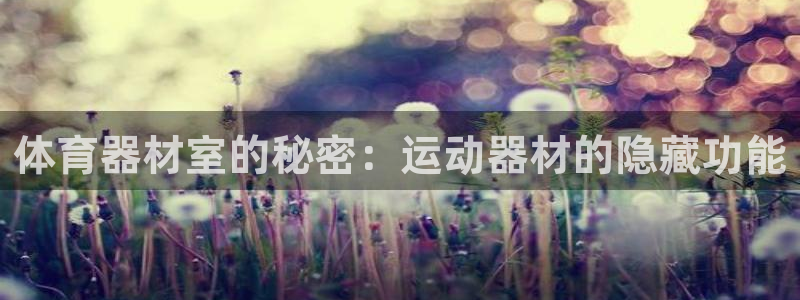 极悦平台登录不进去怎么回事呢：体育器材室的秘密：运动器材的隐