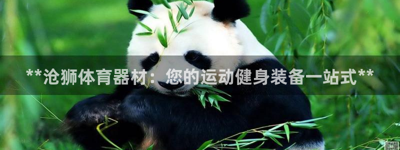 极悦平台官网登录网址查询：**沧狮体育器材：您的运动