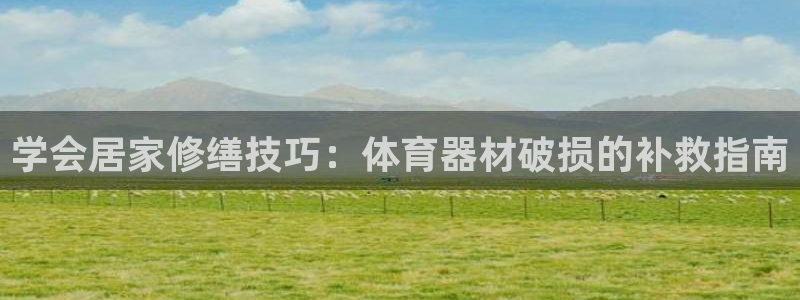 极悦平台官方网站登录不了：学会居家修缮技巧：体育器材