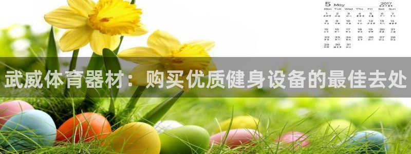 极悦娱乐百科百度贴吧：武威体育器材：购买优质健身设备的最佳去