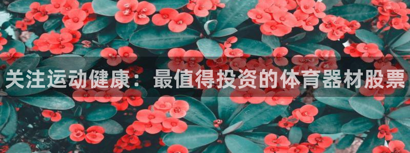 极悦平台与网易合作详情：关注运动健康：最值得投资的体育器材股
