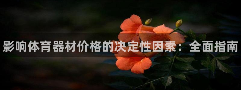 极悦娱乐创始人背景故事：影响体育器材价格的决定性因素