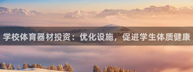 极悦平台代理怎么样：学校体育器材投资：优化设施，促进学生体质