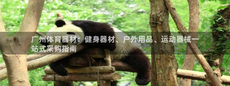 极悦平台注册登录入口网址：广州体育器材：健身器材、户外用品、